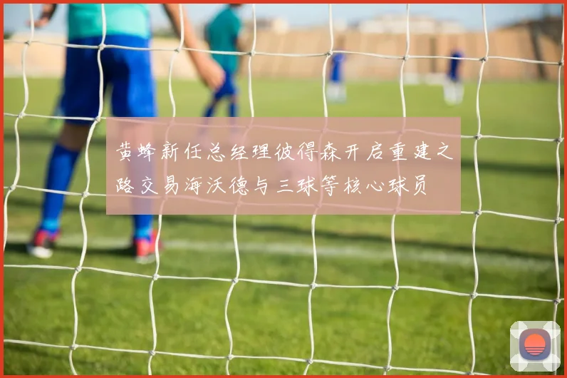 黄蜂新任总经理彼得森开启重建之路交易海沃德与三球等核心球员